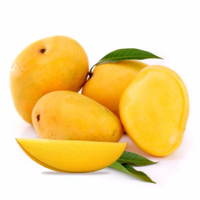 Kesar Mango Plant
