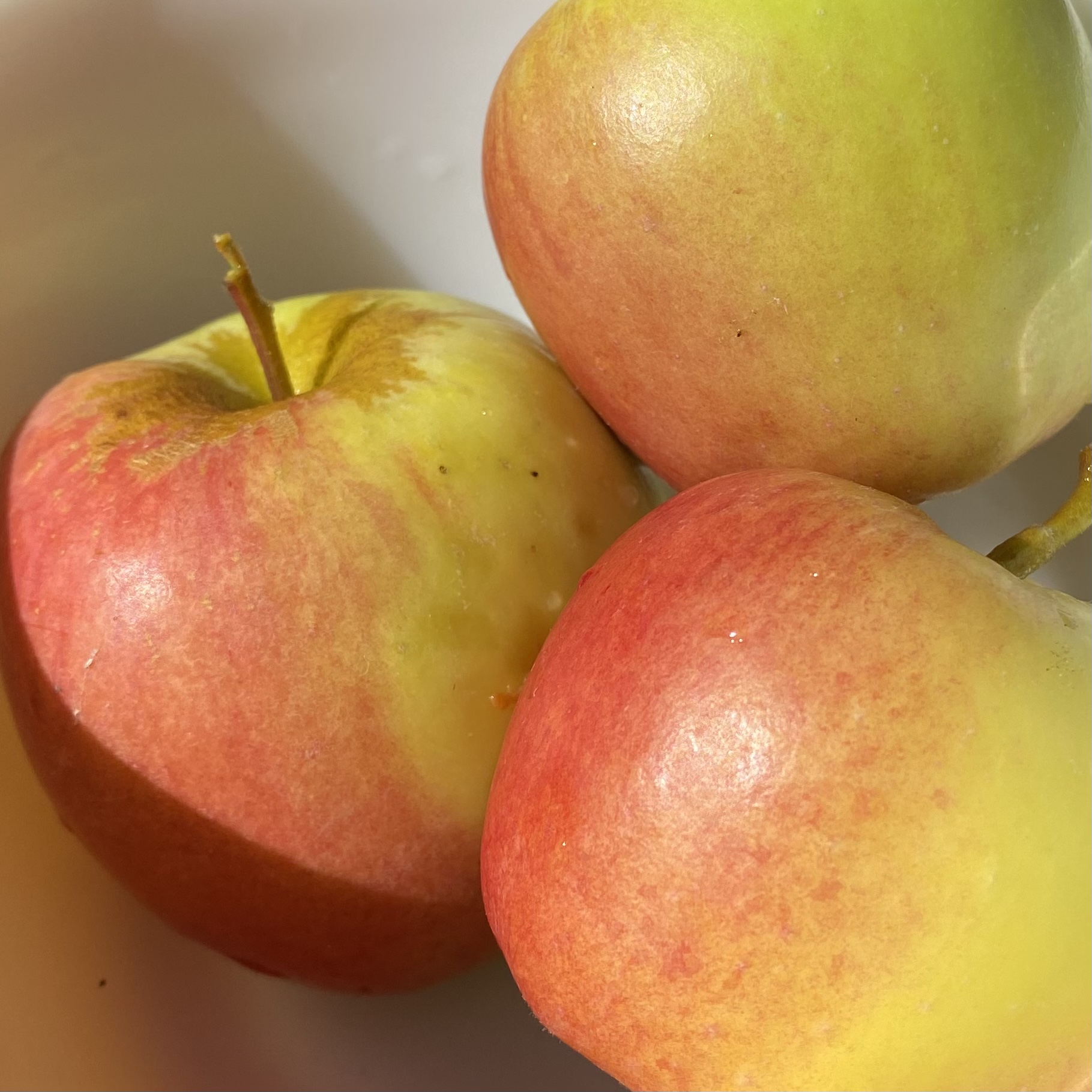 Apples_Golden_Dorsett_variety