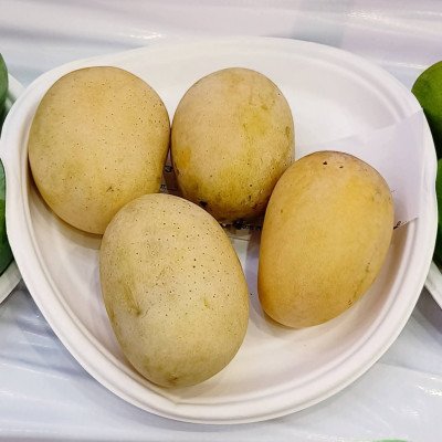 Langra Mango