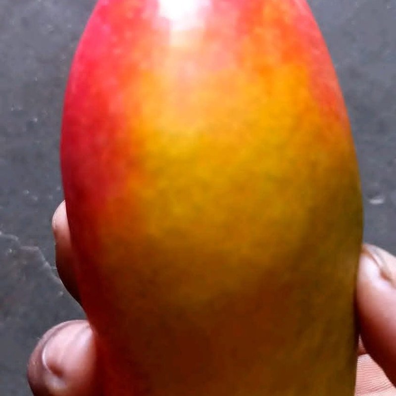 Husnara Mango