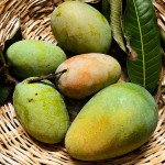 Himsagar Mango