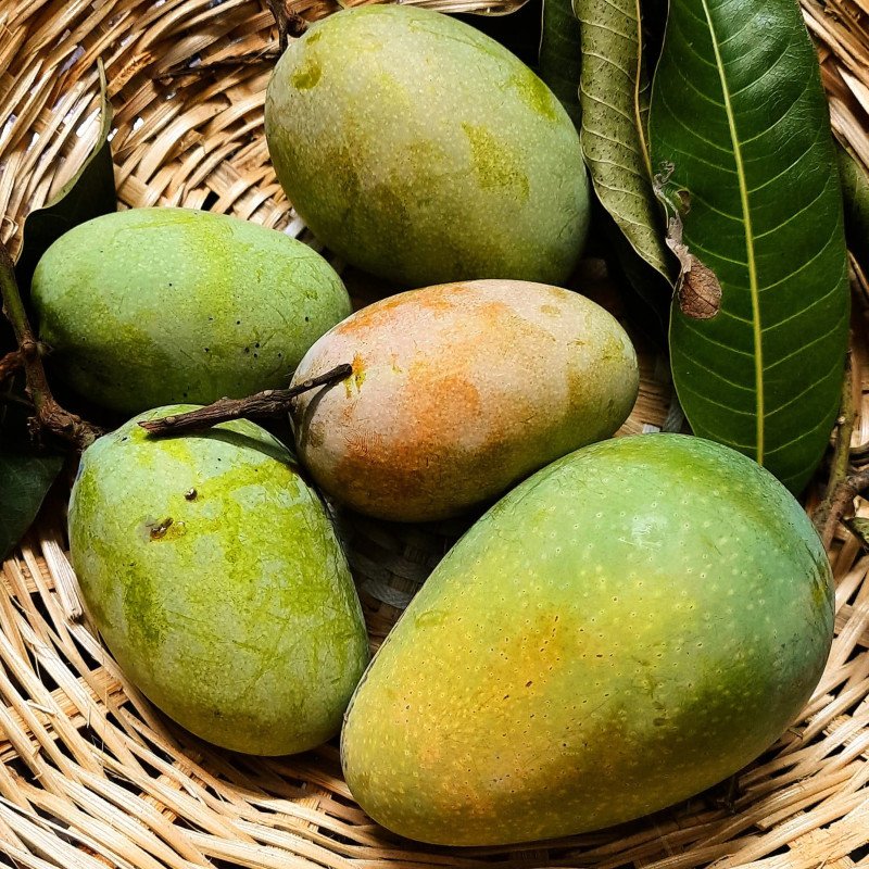 Himsagar Mango