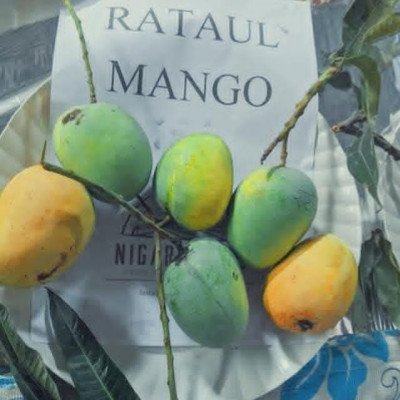Rataul Mango
