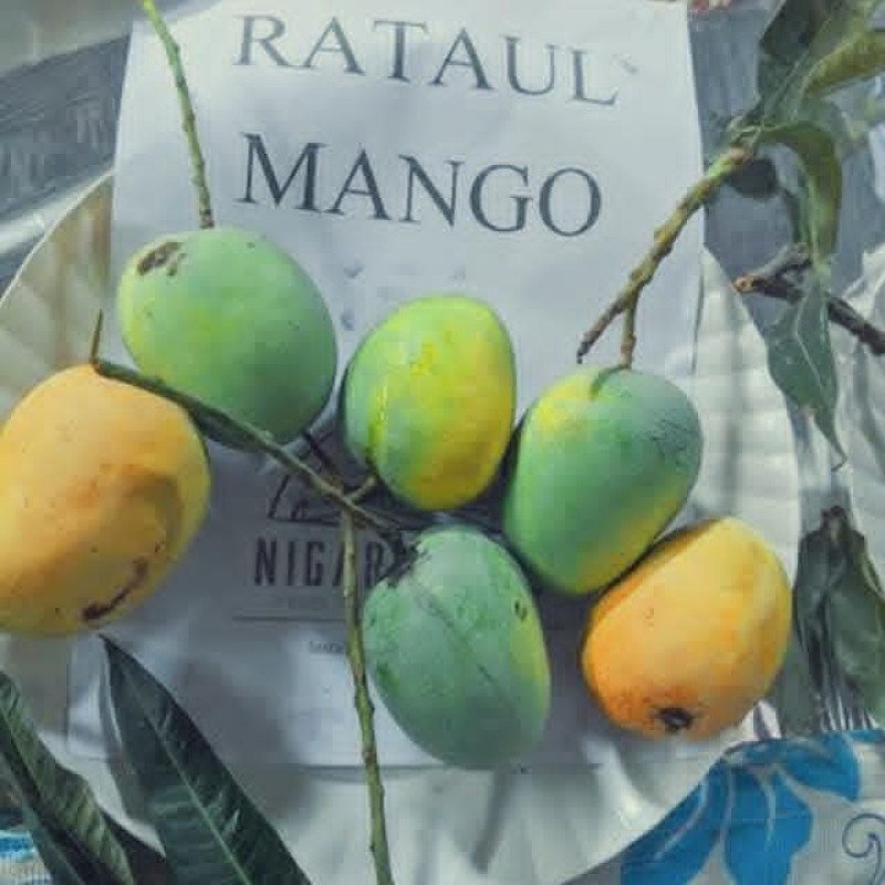 Rataul Mango