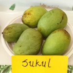 Sukul Mango