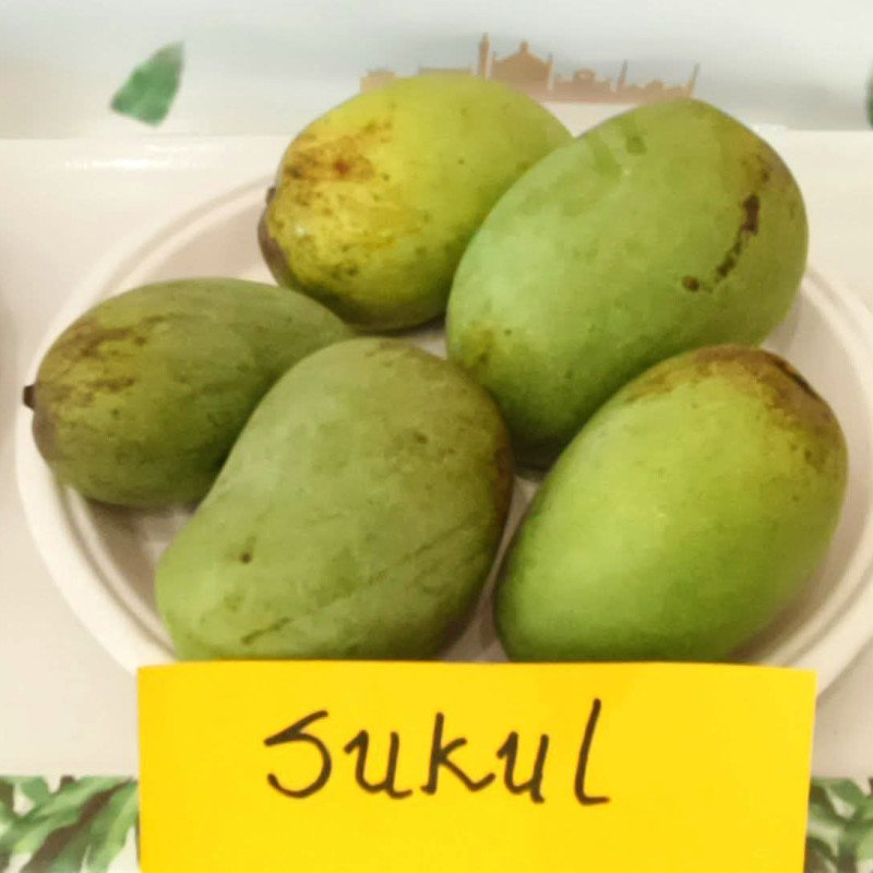 Sukul Mango