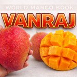 Vanraj Mango