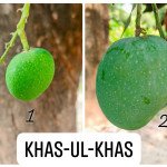 Khas - ul - khas