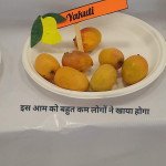 Yakuti Mango
