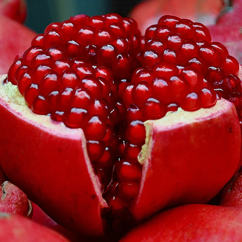 Bhagwa Pomegranate