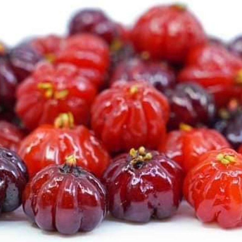 Red Suriname Cherry (Eugenia Uniflora)
