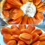 Daeng Suriya Jack Fruit Plant