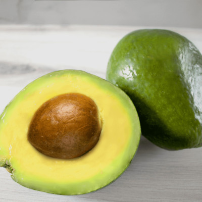 Tropical Avacado Plant