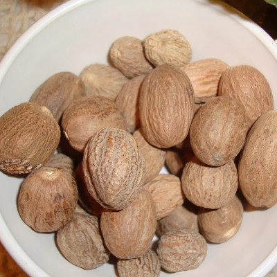 Nutmeg Plant (जायफल मसाले का पौधा)
