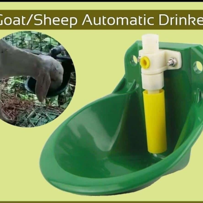Automatic Water Bowl for Goat/ Sheep