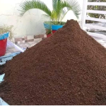 Top Notch Quality Vermicompost 10 Kgs