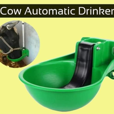 Automatic Water Bowl for Cow/Buffalo/Horse