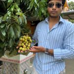 Bombay Litchi (Hot Climate)
