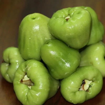 Hybrid Water Apple Plant - Bali Chamba